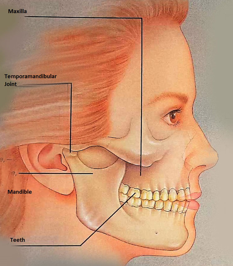 Jaw After Surgery